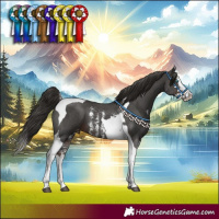 Horse Color:Liver Chestnut Sabino Splash Tobiano Appaloosa 