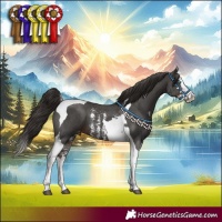Horse Color:Liver Chestnut Sabino Splash Tobiano Appaloosa