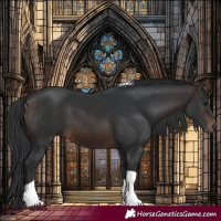 Horse Color:Brown Tobiano 