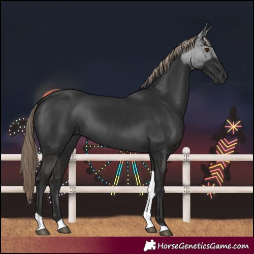 Horse Color:Liver Chestnut Tobiano 