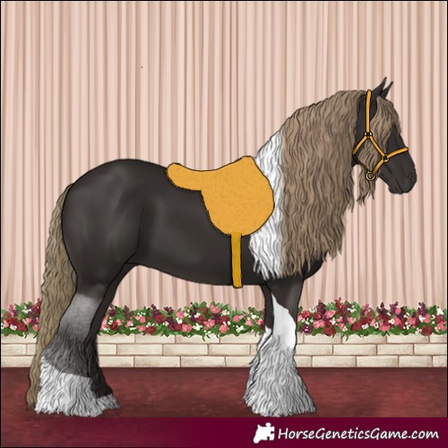 Horse Color:Liver Chestnut Tobiano 