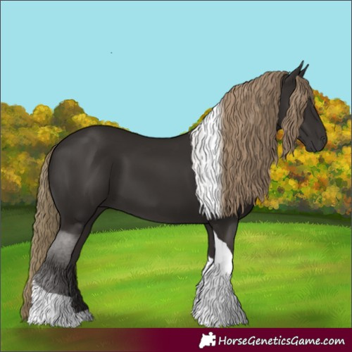 Horse Color:Liver Chestnut Tobiano 