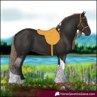 Horse Color:Liver Chestnut Tobiano 