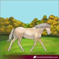 Horse Color:Palomino Pearl