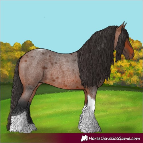 Horse Color:Bay Roan Tobiano 