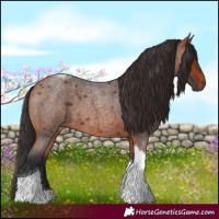 Horse Color:Bay Roan Tobiano