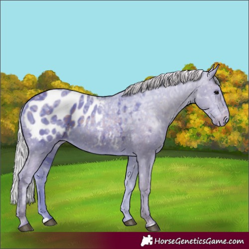 Horse Color:Watercolor Silver Black Ice Blanket 