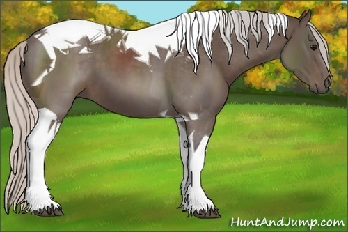 Horse Color:Silver Black Tobiano