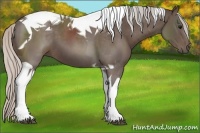 Horse Color:Silver Black Tobiano