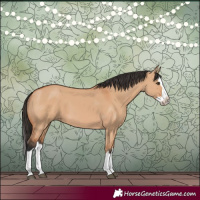 Horse Color:Bay Dun Splash 