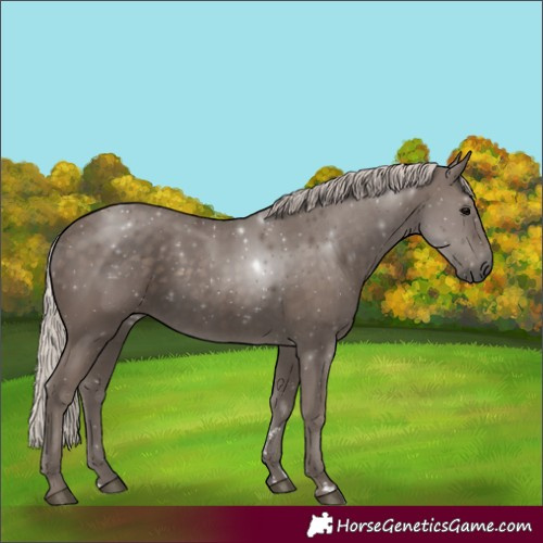 Horse Color:Silver Black 