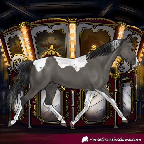 Horse Color:Grullo Splash Tobiano 