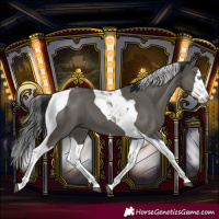 Horse Color:Grullo Splash Tobiano 