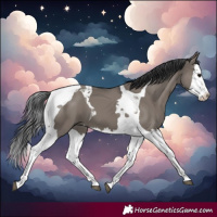 Horse Color:Grullo Splash Tobiano 