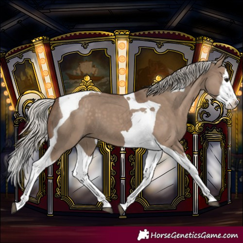 Horse Color:Silver Grullo Splash Tobiano 