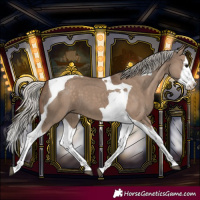 Horse Color:Silver Grullo Splash Tobiano