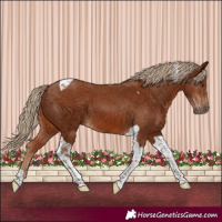 Horse Color:Chestnut Tobiano 