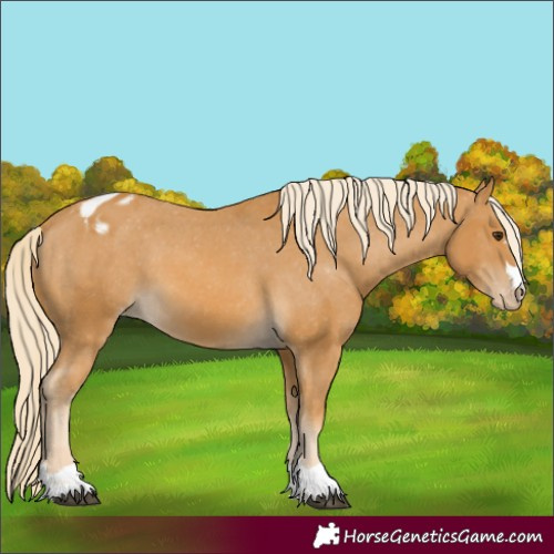Horse Color:Palomino Varnish 