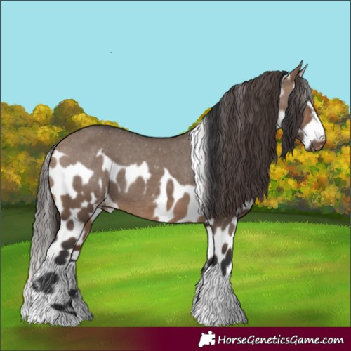Horse Color:Brown Dun Tobiano Skewed LP Spotted