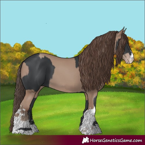Horse Color:Black  and Classic Champagne 