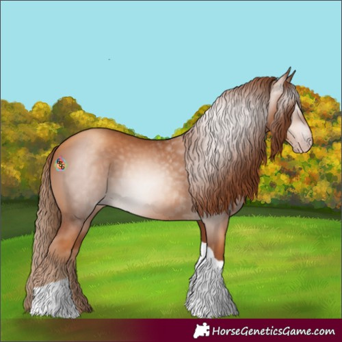 Horse Color:Gray Gold Champagne Tobiano 