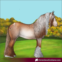 Horse Color:Gray Gold Champagne Tobiano