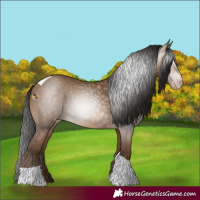 Horse Color:Gray Amber Champagne Tobiano