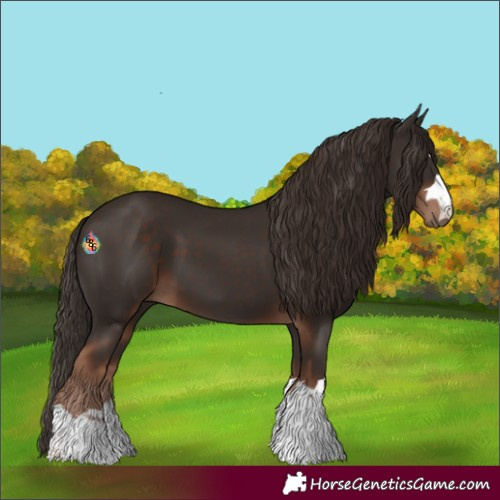 Horse Color:Liver Chestnut 