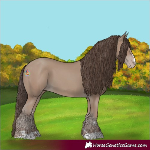 Horse Color:Classic Champagne