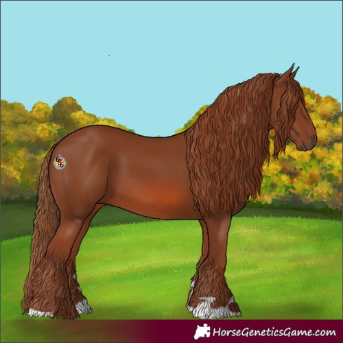 Horse Color:Chestnut 