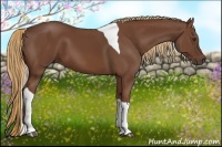 Horse Color:Chestnut Tobiano