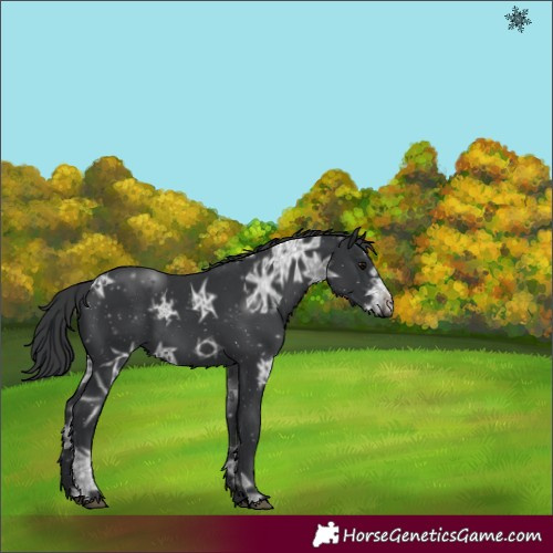 Horse Color:Black Ice 