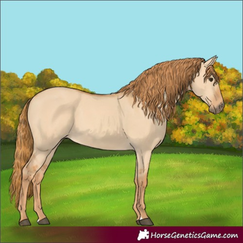 Horse Color:Red Dun 