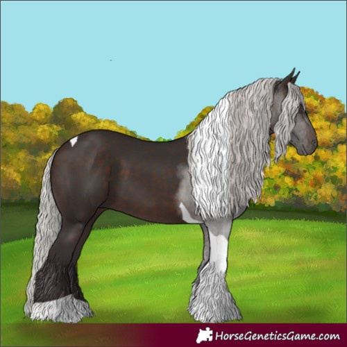Horse Color:Silver Brown Tobiano 