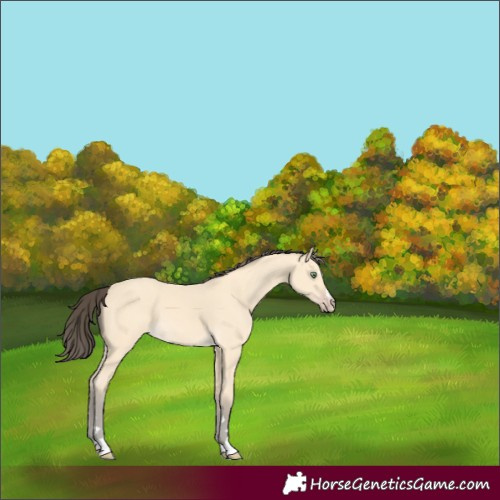 Horse Color:Amber Cream Champagne 