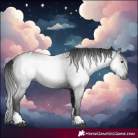 Horse Color:Gray Black Tobiano 