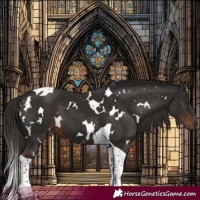 Horse Color:White Spotted Liver Chestnut Tobiano 