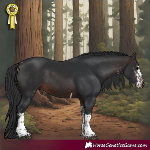 Horse Color:White Spotted Brown Tobiano 