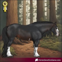 Horse Color:White Spotted Brown Tobiano