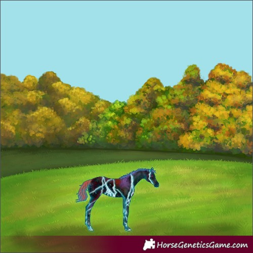 Horse Color:ERROR: UNKNOWN ANOMALY
