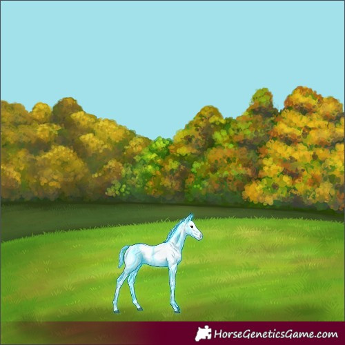 Horse Color:Thunderstruck Silver Brown Onyx Sabino 