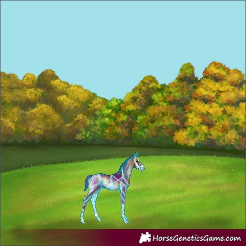 Horse Color:Thunderstruck Bay Onyx