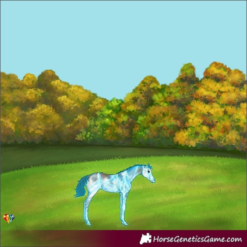 Horse Color:Thunderstruck Bay Onyx Sabino