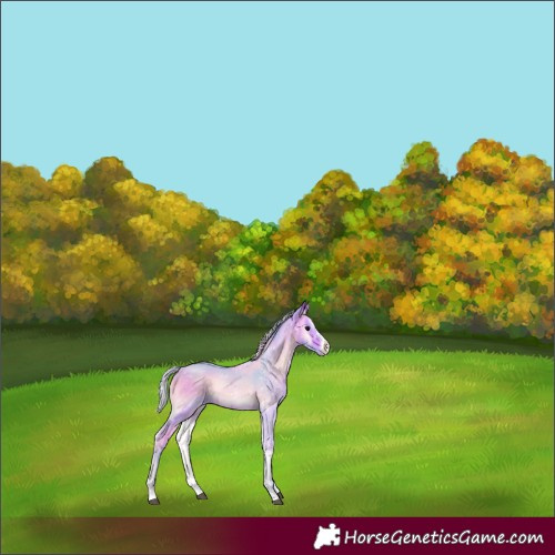 Horse Color:Watercolor Chocolate Silver Bay Onyx Sabino