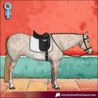Horse Color:Red Dun Roan and Red Dun Roan