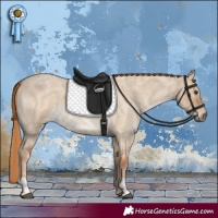 Horse Color:Red Dun Roan  and Red Dun Roan 