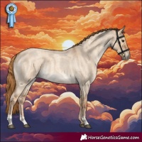 Horse Color:Red Dun Roan and Red Dun Roan