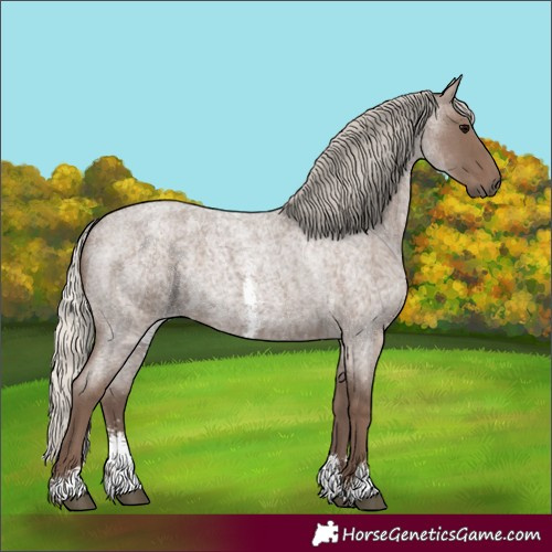 Horse Color:Silver Blue Roan Sabino 
