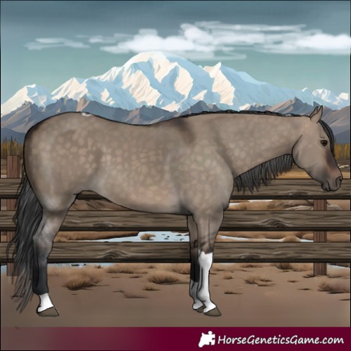 Horse Color:Brown Dun Tobiano 