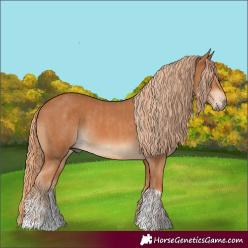 Horse Color:Chestnut  and Chestnut 